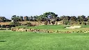 estancia-golf-22.webp