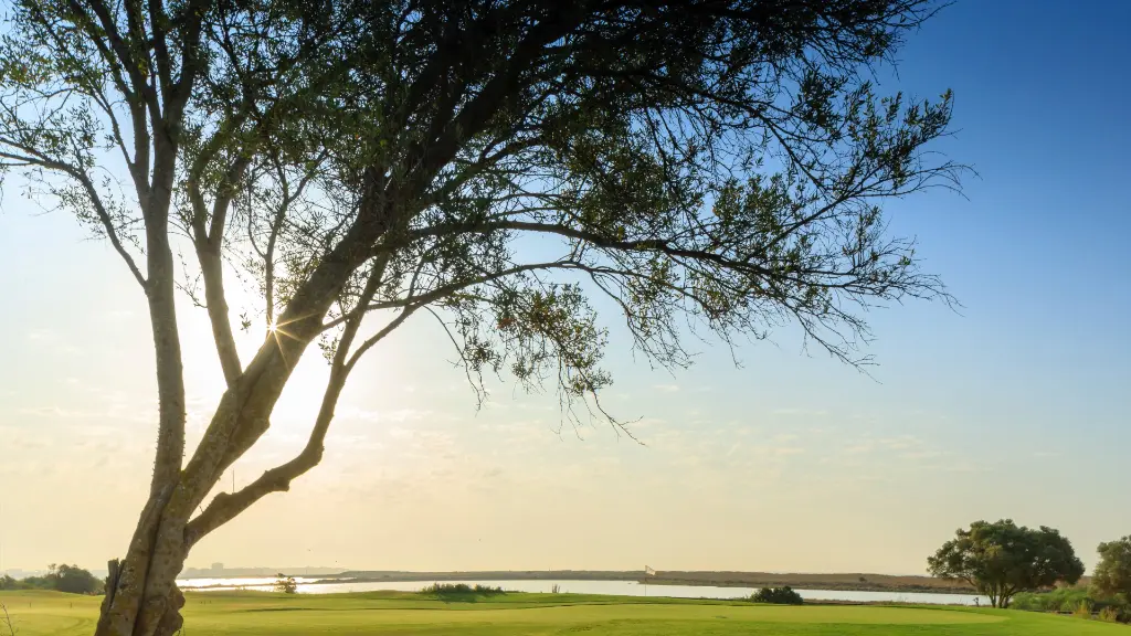 Palmares Golf 21.webp