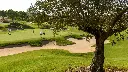 Golf-las-colinas-29.webp