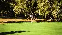 dehesa-montemedio-golf-26.webp