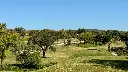 san-roque-golf-new-29.webp