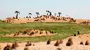 sauines-golf-10.webp