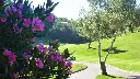 golf-torrequebrada-3.webp