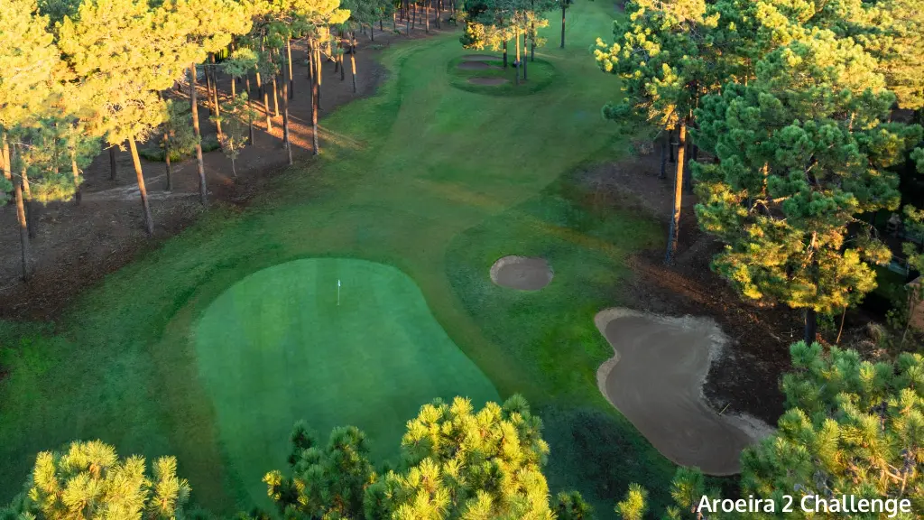 aroeira-2-challenge-12.webp