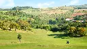 dolce-camporeal-golf-10.webp