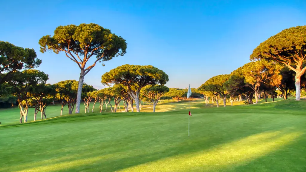 ol-course-vilamoura-27.webp