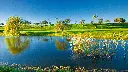 gramacho-golf-42.webp
