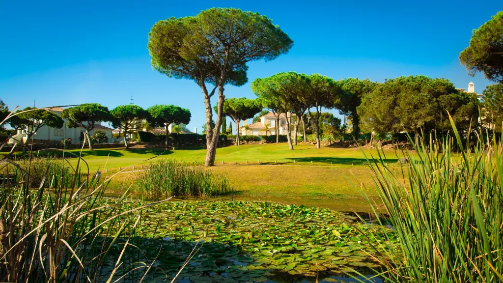 vila-sol-golf-33.webp