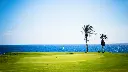 amarilla-golf-13.webp