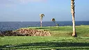 amarilla-golf-24.webp