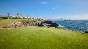 amarilla-golf-6.webp