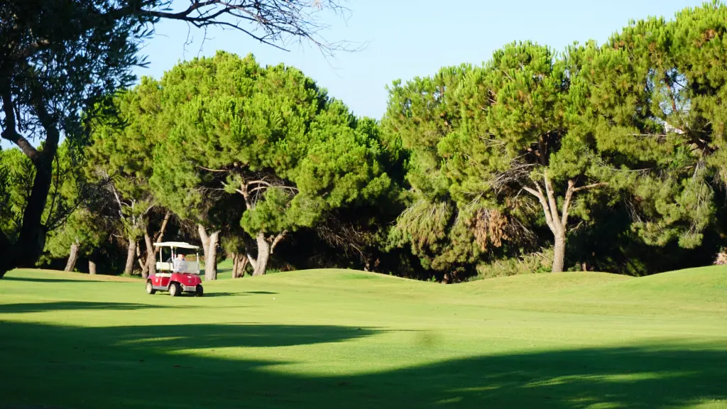 anoreta-golf-11.webp
