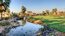 desert-spring-golf-11.webp
